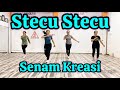 SENAM KREASI DJ STECU STECU BY RINI TRINI