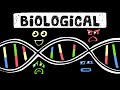 Is Your Personality Pre Determined Biological Theory Of Personality