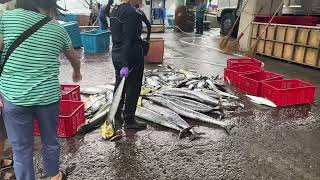 宜蘭漁港漫遊買魚2025年10月8日星期三下午⛅️