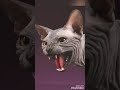 Most aggressive cat breeds in the world