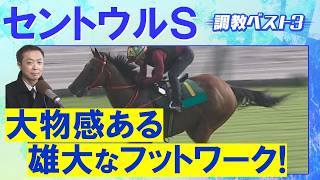 「ハイレベルなフィジカル！」ピューロマジック、フリッカージャブ、ダイヤモンドノット・・・競馬エイト・高橋賢司トラックマンの調教解説＜セントウルステークス(ＧⅡ)＞