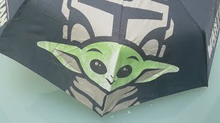 THE MANDALORIAN
