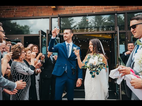 Vector Light Studio video.