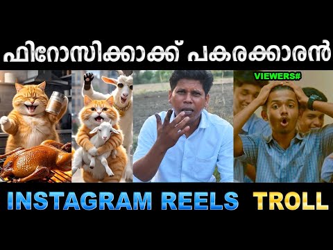 ഇനി കുക്കിങ് പൂച്ച സെർ ഭരിക്കും ! Troll Video | Reels Cat Troll | Ubaid Ibrahim
