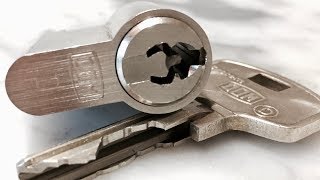 DOM System D from Randy Perkins - Pick & Gut