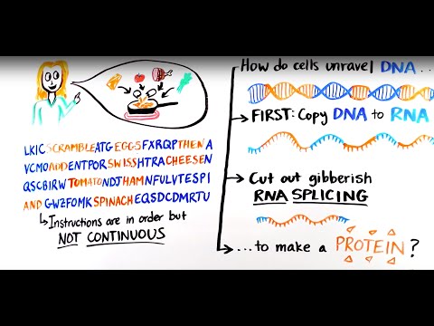 Was ist RNA-Splicing?
