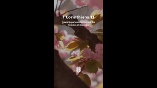 1 Corinthiens 13:1 Quand je parlerais les langues des hommes #labible #BibleVision