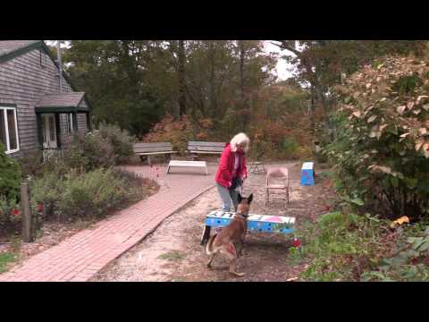 Saju's Exterior Search for NW2 Title