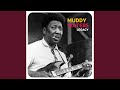 She's Into Something - Muddy Waters - Topic She's Into Something