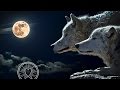 Native American Flute Music: Meditation Music for Shamanic Astral Projection, Healing Music