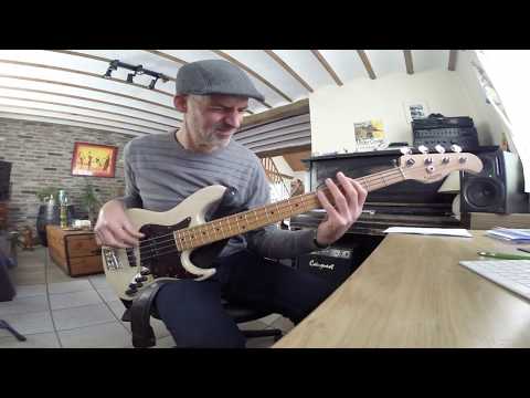 MESHELL NDEGEOCELLO feat HERBIE HANCOCK   noctural sunshine basscover