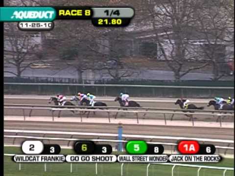 Endless Circle - Fall Highweight Handicap (G3)