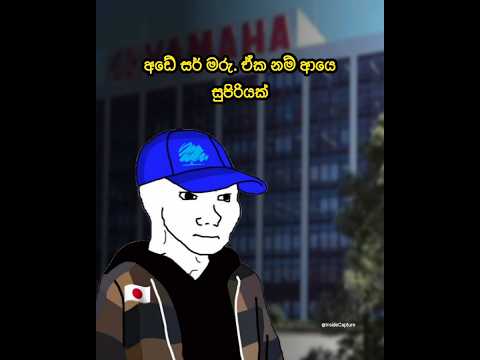 Yamaha WRX 250 පුරාවෘත්තය !! #shorts #sinhala #story