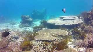 preview picture of video 'Diving in Blue Lagoon, Padang Bai, Bali, May 2012'