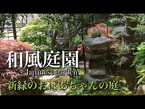 , title : '【和風庭園】新緑の季節 おばあちゃん家のお庭をご紹介 Japanese Garden 5月の新緑'