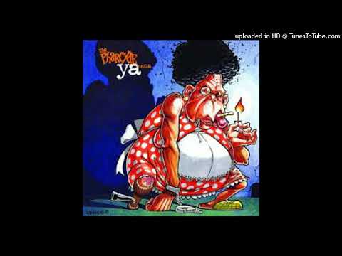 FOZ ALI - PHARCYDE - ACE OF BASE MASHUP