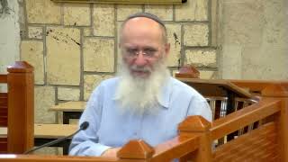 כִּי ה אֱלֹהֵיכֶם הוּא הַנִּלְחָם לָכֶם – מי נלחם – ה או ישראל ? – שיעור 78 – ספר יהושע פרק כג