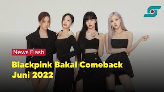 Girlband K-Pop Blackpink Bakal Comeback Lewat Album Baru di Juni 2022 | Opsi.id
