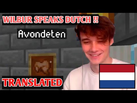 Wilbur speaks DUTCH with Fundy [Dream SMP] (translated) Ft. Philza