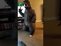 GODZILLA Walking Around
