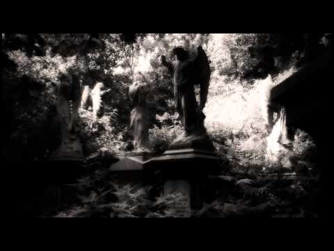 【Darkpsy:001】Stranger vs. Culu — Psychedelic Experience