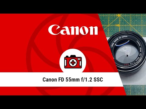 Canon FD 55mm 1.2 S.S.C. - Nettoyage de petits champignons