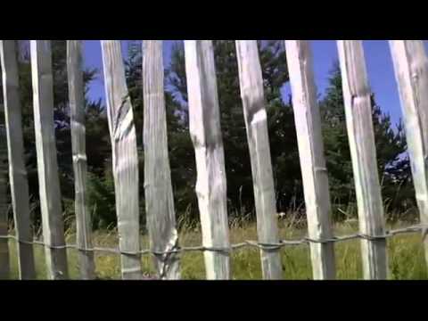 Pensiune Cu Piscina - Cazat.ro