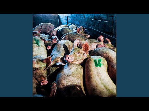 Video thumbnail ST7ebI2QIZ8