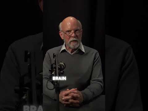 Taurin: Der vergessene Gehirnschutz