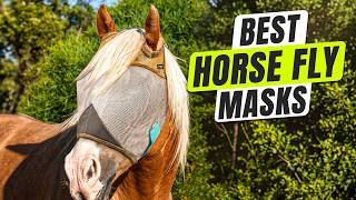3 BEST Horse Fly Mask