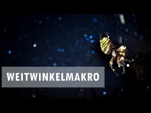 Weitwinkelmakro mit dem RF35mm 1.8 Makro (Bei Nacht)