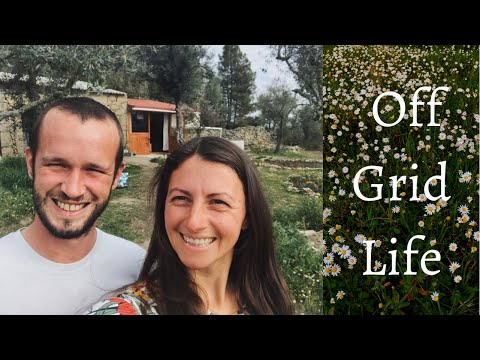Building our dream life in Central Portugal, OFF GRID LIVING - clearing more of our 1.5 acres