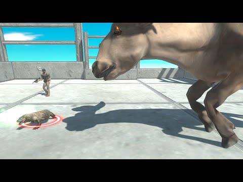 GIANT WATER BUFFALO PLASMA & COMMANDO BO vs EVERY UNIT   Animal Revolt Battle Simulator