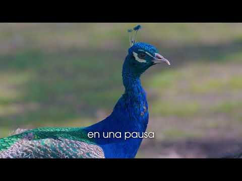 Visita Trinidad Flores 