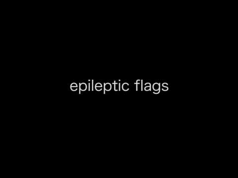 epileptic flags [music: alva noto - u_06 / video: christoph höfferl]