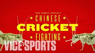 A Day of Cricket Fighting In Beijing: VICE Sports Specials