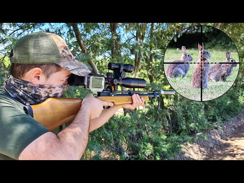 RABBIT HUNTING WITH PCP PR900 AND P15 RIFLES