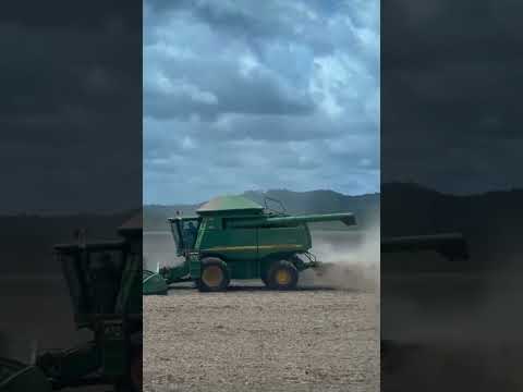 #fazenda #agro #soyabean #colheita #matogrosso #safra2026 #farming #farm