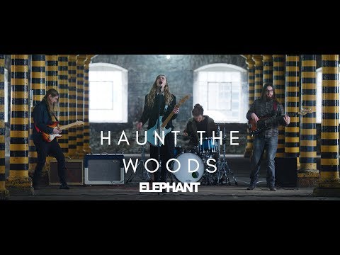 download lagu mp3 mp4 Haunt The Woods, download lagu Haunt The Woods gratis, unduh video klip Download Haunt The Woods Mp3 dan Mp4 Music Gratis