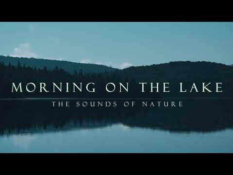 Morning on the Lake. 6AM. Loons and wildlife.