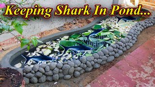 நாம் Shark மீனை குலத்தில் வளர்க்கலாமா ?. Can we keep And Grow Shark In Pond?.. / Fish Aquarium Tamil