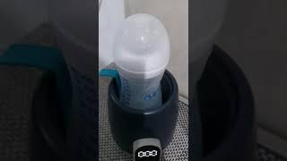 bottle warmer babymoov