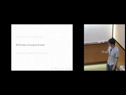 Semi-infinite hodge structure: from BCOV theory to Seiberg-Witten geometry