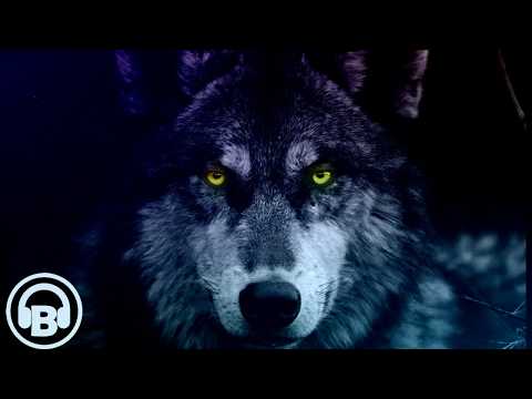 Bogdogun - KUSH (Official)