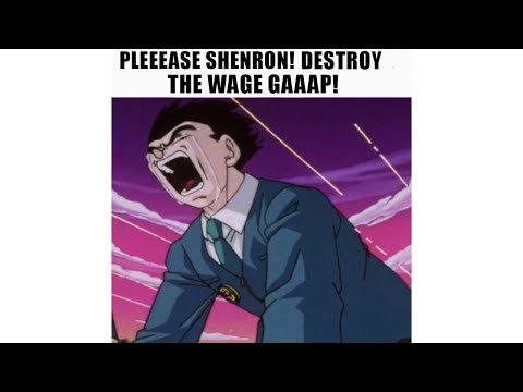 PLEASEE SHENRON! DESTROY THE WAGE GAP!