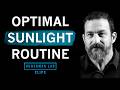 Optimal Morning & Evening Sunlight Routine | Dr. Andrew Huberman