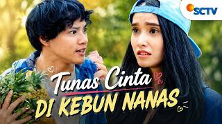 Download lagu FULL FTV SCTV  Hardi Fadhillah dan Adila Fitri | Tunas Cinta Di Kebun Nanas mp3