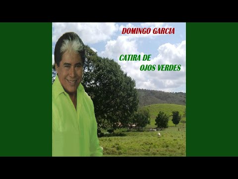 Me Voy a Meter a Pichirre