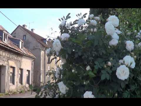 Ličko ljeto ©Marko Čuljat www.licke-novine.hr Lička televizija Gospić LTVG