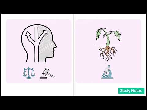 ESCUELA CLÁSICA Y ESCUELA POSITIVA